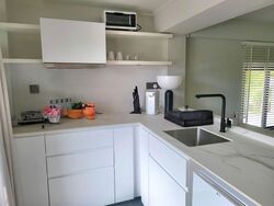 Holland Rise (D10), Apartment #540890361